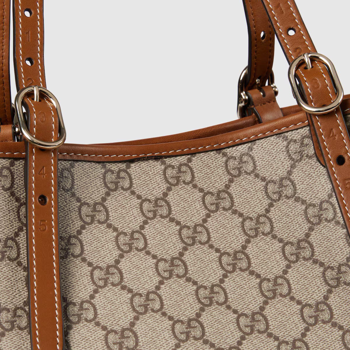 Beige & Brown Canvas